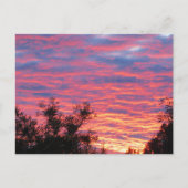 夏の日没 ポストカード (正面)