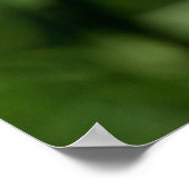 夏の日 ポスター (角)