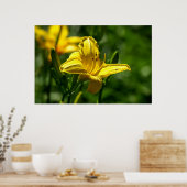 夏の日 ポスター (キッチン)