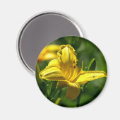 夏の日 マグネット (正面/裏面)