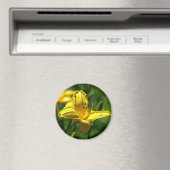 夏の日 マグネット (インサイチュ (食洗機))