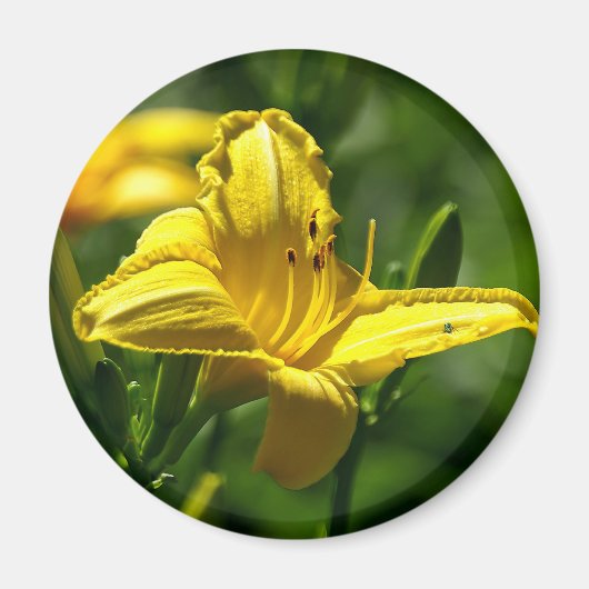 夏の日 マグネット (正面)