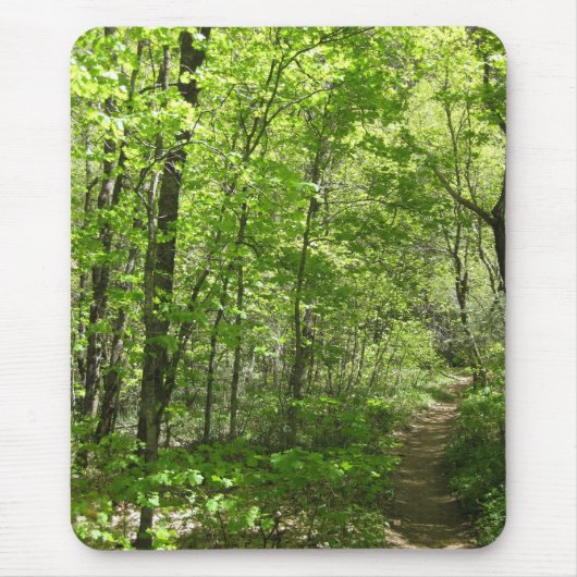 夏の日(1)のマウスパッド マウスパッド (正面)