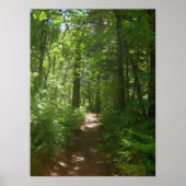 夏の日(6)ポスター ポスター (正面)