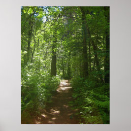 夏の日(6)ポスター ポスター