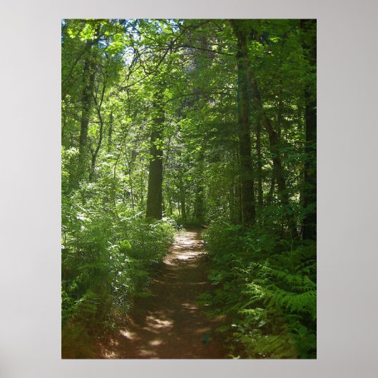 夏の日(6)ポスター ポスター (正面)