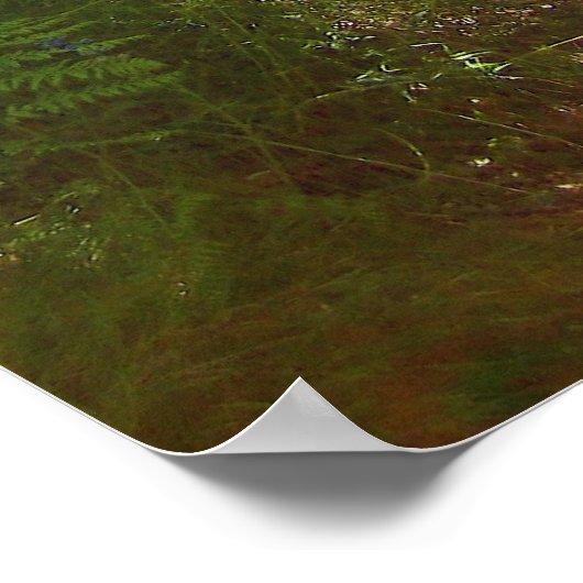 夏の日(6)ポスター ポスター (角)