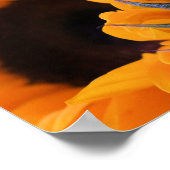 夏の明るいヒマワリ ポスター (角)