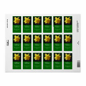 夏の明るい黄色の水仙の花住所 シール (フルシート)