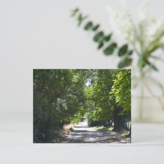 夏の時間 ポストカード (スタンド正面)