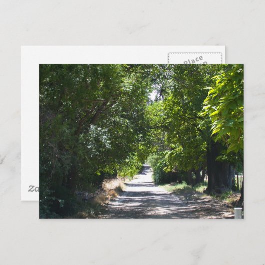 夏の時間 ポストカード (正面/裏面)