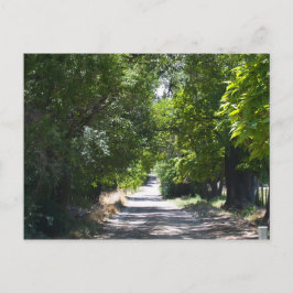 夏の時間 ポストカード