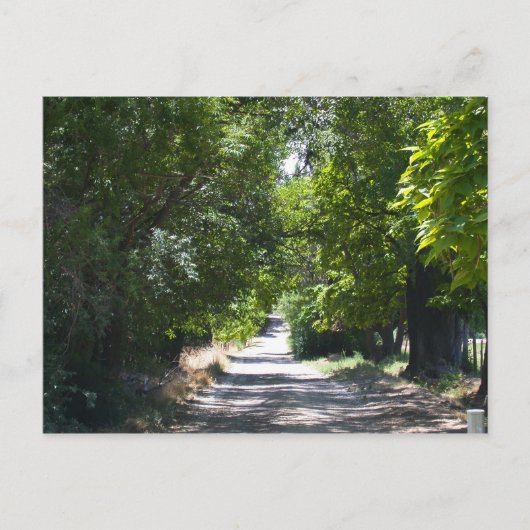 夏の時間 ポストカード (正面)