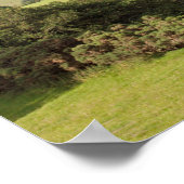 夏の朝コウィバレー葉書 ポスター (角)