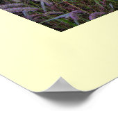 夏の朝 ポスター (角)