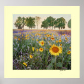 夏の朝 ポスター (正面)