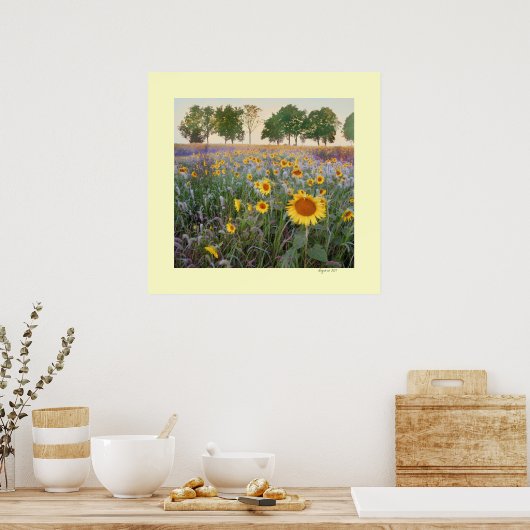 夏の朝 ポスター (キッチン)