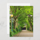 夏の朝 ポストカード (正面/裏面)