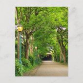 夏の朝 ポストカード (正面)