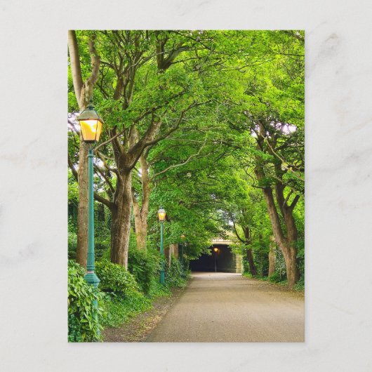 夏の朝 ポストカード (正面)