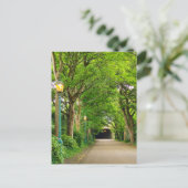 夏の朝 ポストカード (スタンド正面)