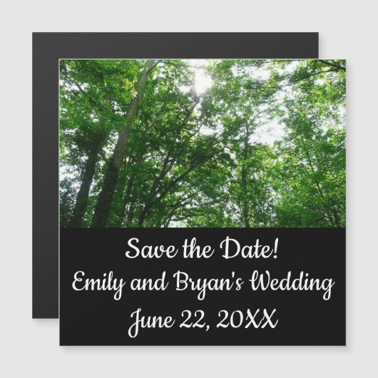 夏の木々を見上げる (正面/裏面)