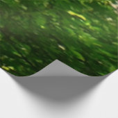 夏の木々を見上げる ウッドポスター (コーナー)