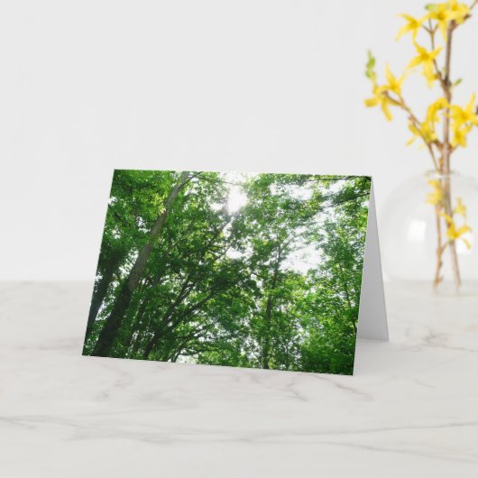 夏の木々を見上げる カード (黄色い花)