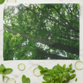 夏の木々を見上げる キッチンタオル (折り畳み)