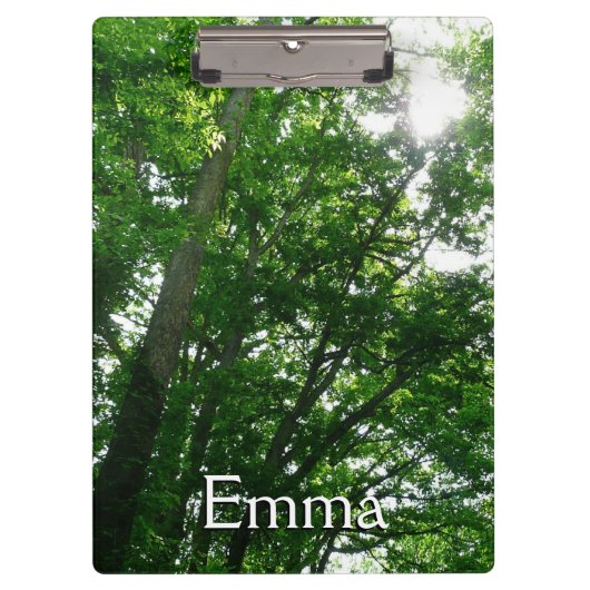 夏の木々を見上げる クリップボード (正面)