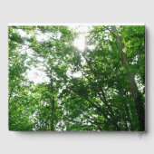 夏の木々を見上げる ゲストブック (裏面)