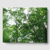 夏の木々を見上げる ゲストブック (裏面)