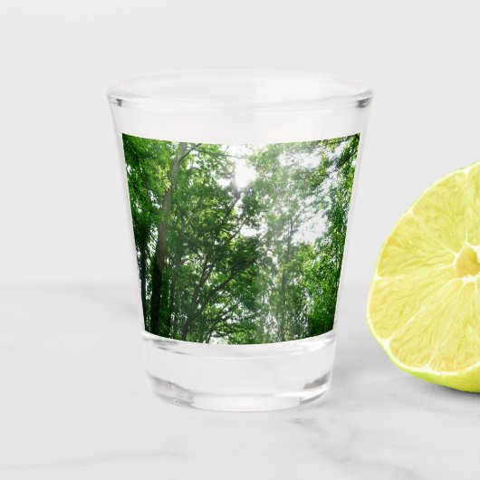 夏の木々を見上げる ショットグラス (正面)