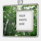 夏の木々を見上げる シルバープレートフレームオーナメント (左)