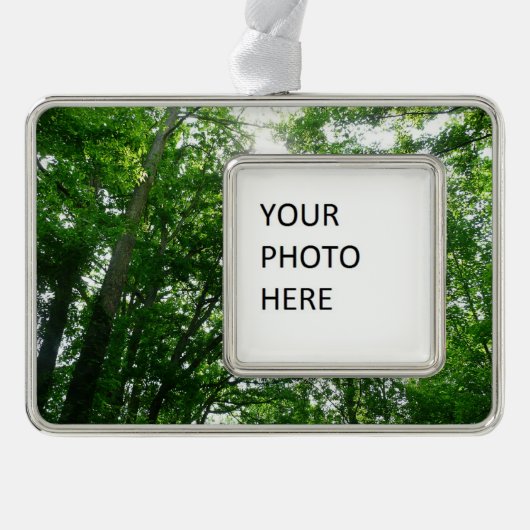 夏の木々を見上げる シルバープレートフレームオーナメント (正面)