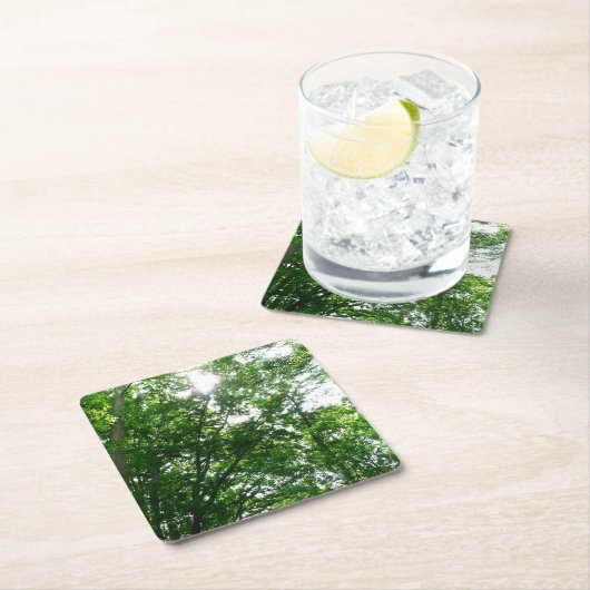 夏の木々を見上げる スクエアペーパーコースター (インサイチュ)