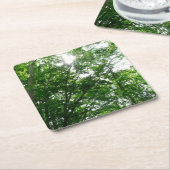 夏の木々を見上げる スクエアペーパーコースター (アングル)