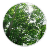 夏の木々を見上げる セラミックノブ (正面)