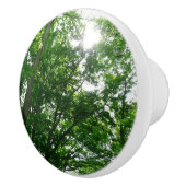 夏の木々を見上げる セラミックノブ (右)