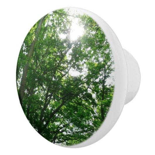 夏の木々を見上げる セラミックノブ (右)