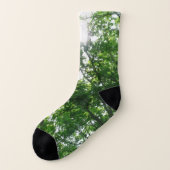 夏の木々を見上げる ソックス (左外側)