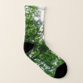 夏の木々を見上げる ソックス (左内側)