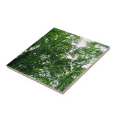 夏の木々を見上げる タイル (側面)