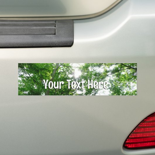 夏の木々を見上げる バンパーステッカー (車上)