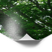 夏の木々を見上げる フォトプリント (角)