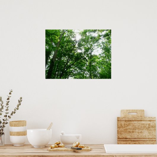 夏の木々を見上げる ポスター (キッチン)