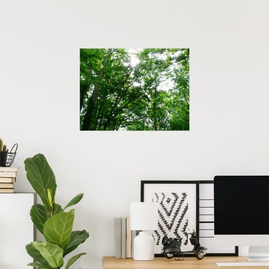 夏の木々を見上げる ポスター (ホームオフィス)