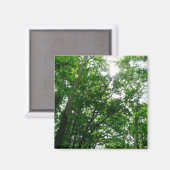 夏の木々を見上げる マグネット (正面/裏面)