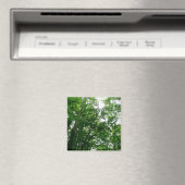 夏の木々を見上げる マグネット (インサイチュ (食洗機))