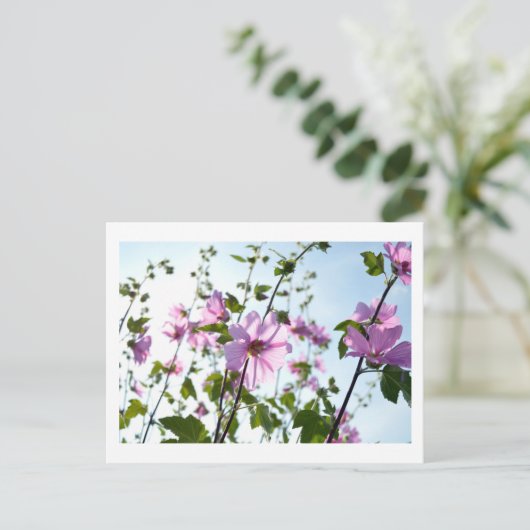 夏の木のマロ開花 ポストカード (スタンド正面)